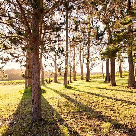 Ruse Estate Retreat Margaret River Rosa Glen エクステリア 写真