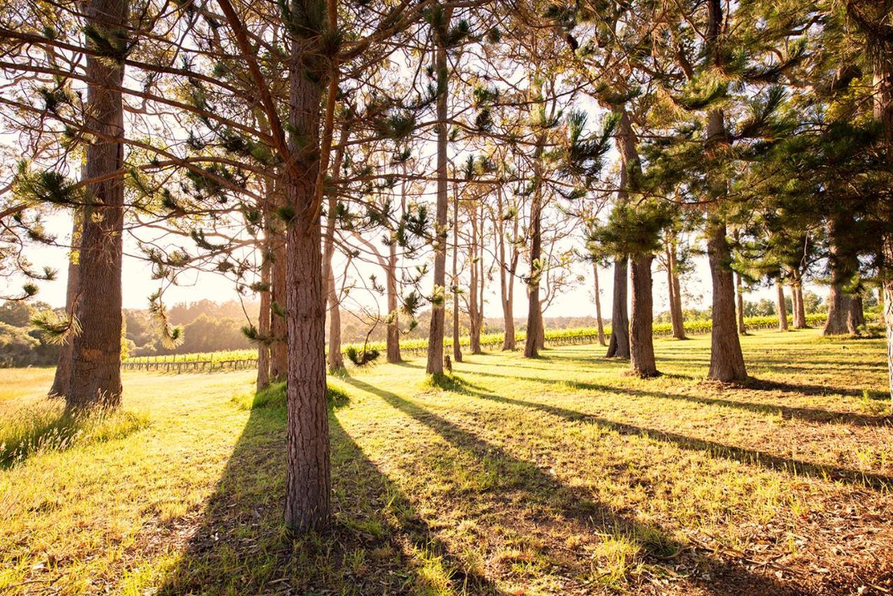 Ruse Estate Retreat Margaret River Rosa Glen エクステリア 写真