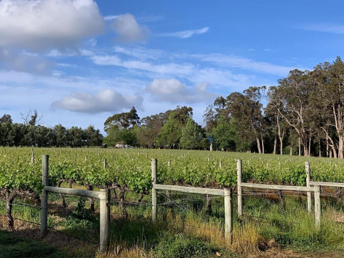 Ruse Estate Retreat Margaret River Rosa Glen エクステリア 写真