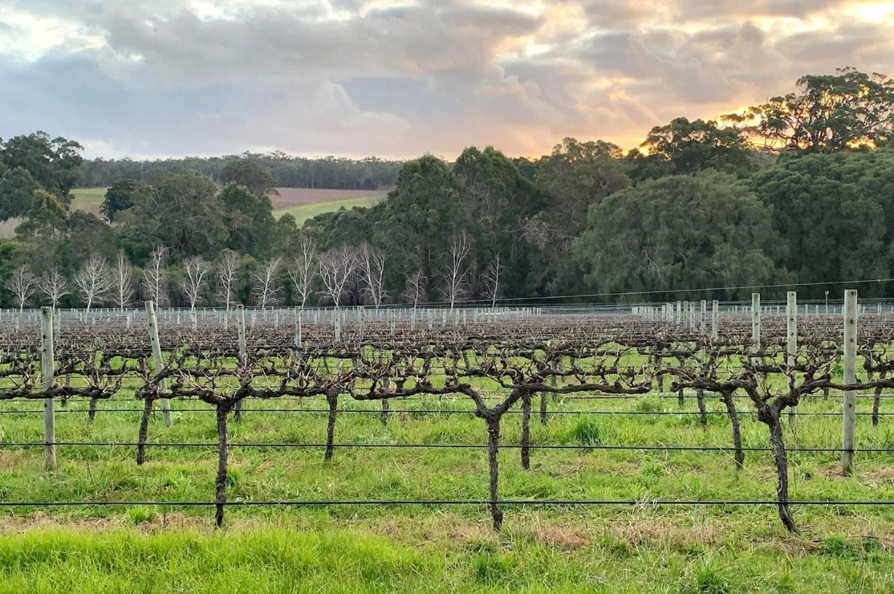 Ruse Estate Retreat Margaret River Rosa Glen エクステリア 写真